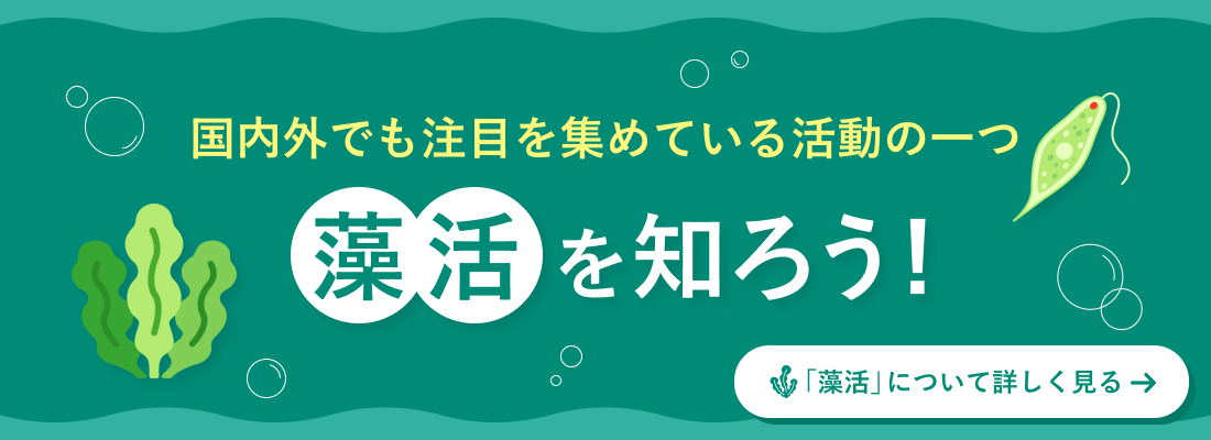 国内外でも注目を集めている活動の一つ 藻活を知ろう！