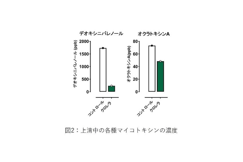 サブイメージ